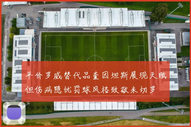 平价罗威替代品奎因坦斯展现天赋但伤病隐忧罚球风格致敬米切罗