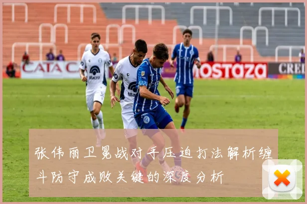 张伟丽卫冕战对手压迫打法解析缠斗防守成败关键的深度分析
